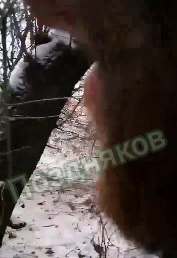 Публикация 346
